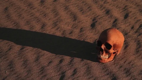 Human Skull in the Desert Stock Footage 76923502
