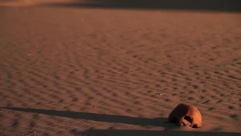 Human Skull in the Desert Stock Footage 76926409