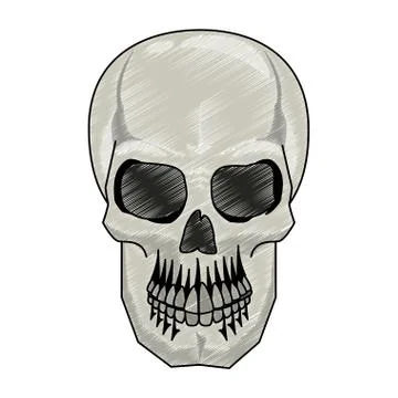 Human skull drawing scribble Illustrazione stock