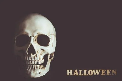 Human skull with empty space in Halloween Stock Photos