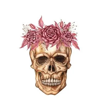 Human skull face roses grass wreath watercolor Illustrazione stock