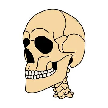 Human skull flat icon isolated on white background Stock Illustration