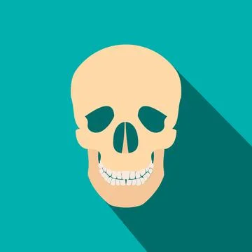 Human skull flat icon with shadow 스톡 일러스트