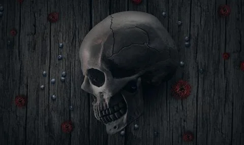 Human skull with flowers on dark background Stock Illustration