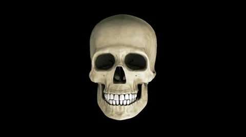 Human Skull Stock Footage 24975830