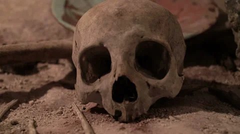 Human skull 스톡 동영상 38197003