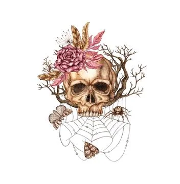 Human skull front rose branches and butterflies watercolor Stock Illustration