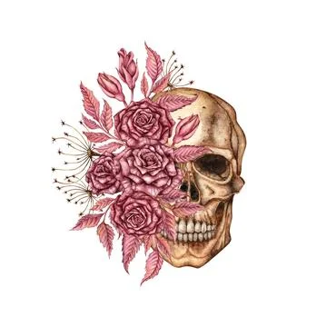 Human skull front with roses and buds watercolor Stock Illustration