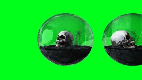 Human skull in glass sphere. Isolate. Ecology concept. 4k animation. Stock Footage 132671225