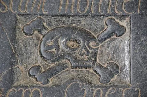Human skull on gravestone Stock Photos