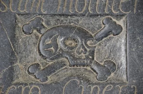 Human skull on gravestone Stock Photos