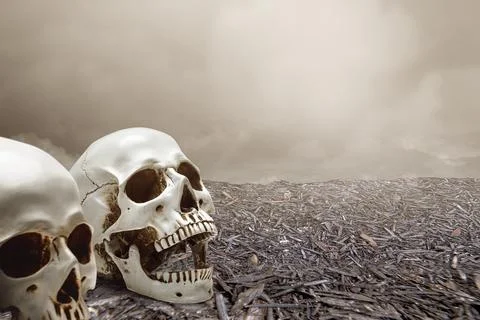 Human skull on the ground Stock Photos