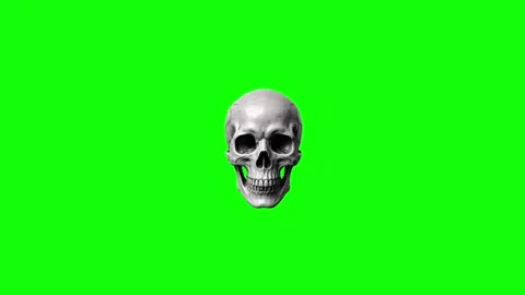Human Skull Halloween Realistic 3D Green Screen Key Stock Footage 345717996
