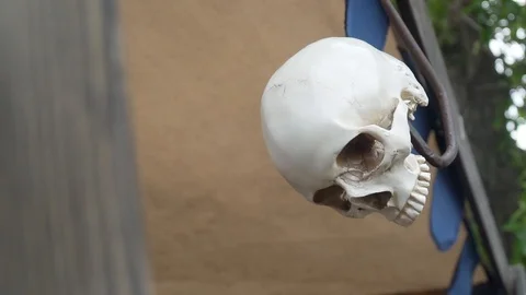 Human skull hanging on a hook Stock Footage 112830735