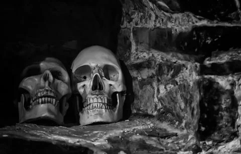 Human skull  head Foto stock