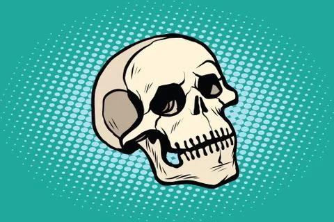 Human skull head skeleton Stock Illustration