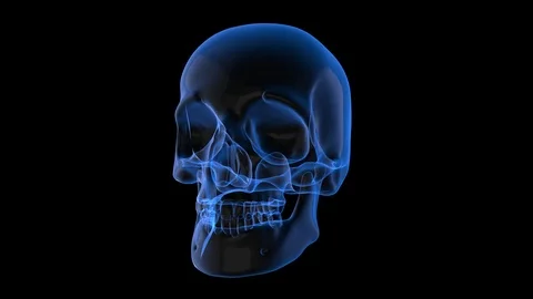 Human Skull Hologram Stock Footage 118585448