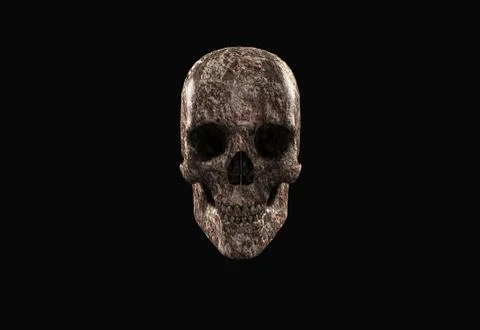 Human skull 스톡 일러스트