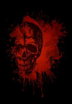 Human Skull Stock Illustration