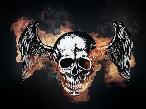 Human Skull Stock Illustration