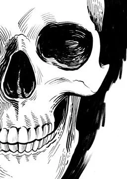 Human skull Illustrazione stock
