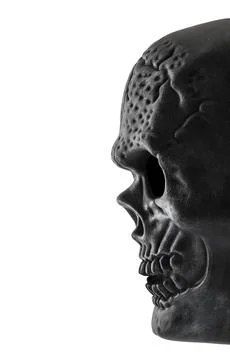 Human skull isolated on white background with clipping path Stock Photos