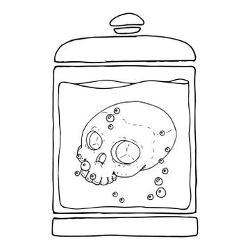 Human skull in the jar. Stock Illustration