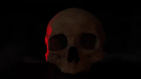 Human skull, light comes on Stock Footage 78103360