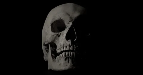 Human Skull with Light Flashes. 库存影片 331276655