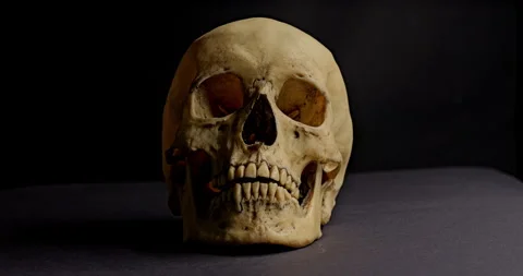 Human Skull with Light. Video stock 332202767