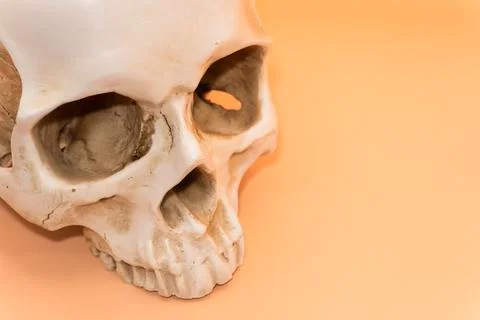 Human skull on a light orange background, beautiful white medical skull without Foto stock