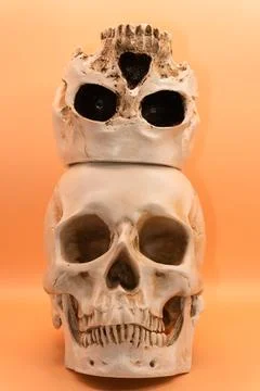 Human skull on a light orange background, beautiful white medical skull with jaw Stock Photos