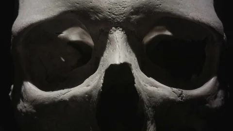 Human skull: Light sweeps past eye sockets in close up. Spooky and sinister. Stock Footage 80869231
