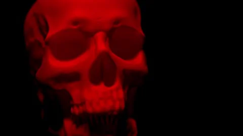 Human skull lit by firelight on dark backdrop Stock Footage 250465380