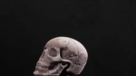 Human skull in loop rotation with white smoke Stock Footage 70803287