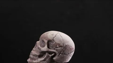 Human skull in loop rotation with white smoke Stock Footage 70803716