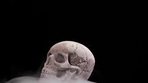 Human skull in loop rotation with white smoke Stock Footage 70804295