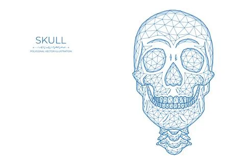 Human skull low poly art. Polygonal vector illustration of a skull front view Stock Illustration