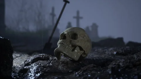 Human skull lying in front of a grave in the cemetery Stock Footage 209267372