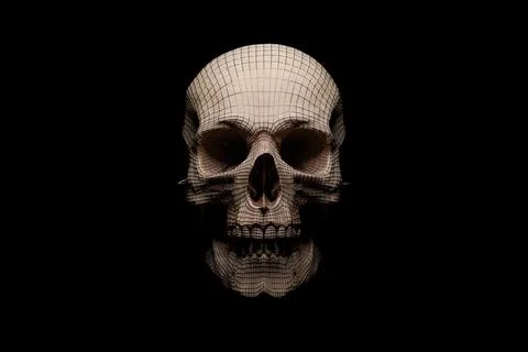 Human skull with metallic wireframe structure on surface against black backgr Stock Illustration
