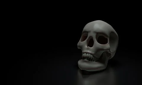 Human skull model, clean skull head, placed on a shiny surface, and a black b Stock Illustration