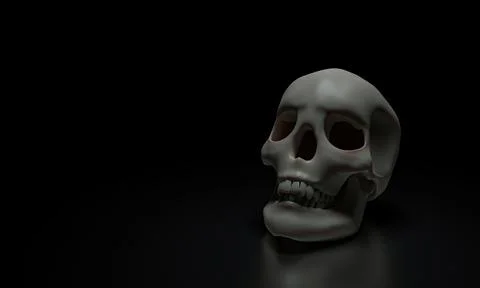 Human skull model, clean skull head, placed on a shiny surface, and a black.. Illustrazione stock