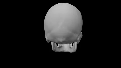 Human skull model isolated on black background for medical or Halloween use Stock Footage 337391350