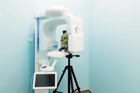 Human skull model in vertical computer tomography machine Foto stock