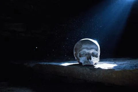 Human skull in the moonlight Stock Photos