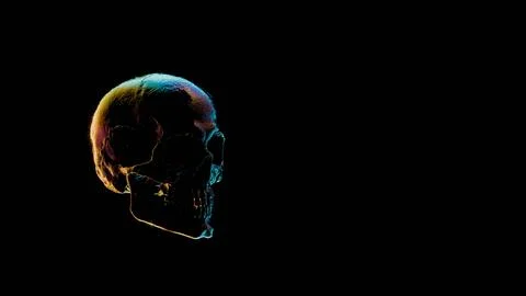 Human skull with multicolored lighting on black background.... 스톡 일러스트