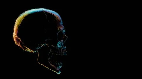 Human skull with multicolored lighting on black background.... 스톡 일러스트