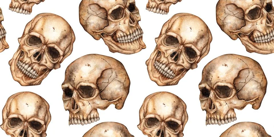 Human skull pattern watercolor 스톡 일러스트