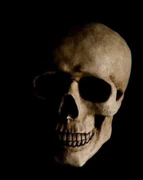 Human skull Stock Photos