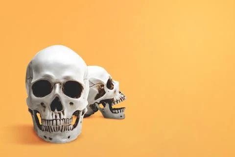 Human skull Stock Photos
